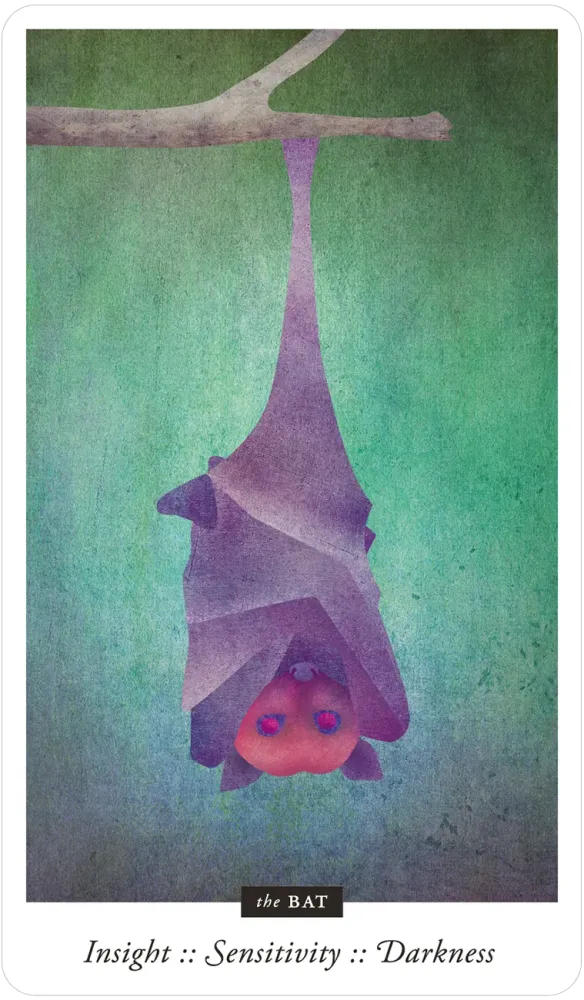 Familiar Field Oracle Cards